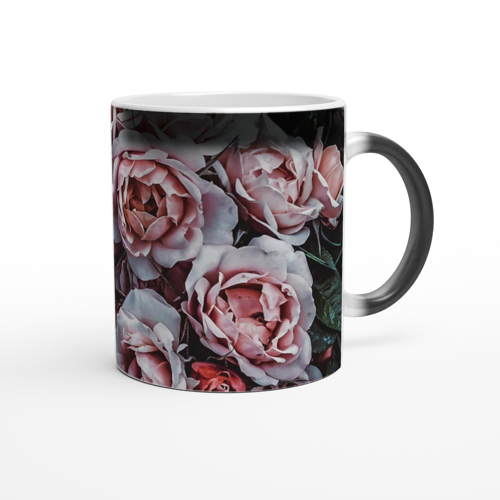 4bf9a9c9-023a-4ebf-aeea-ab01ae0a9799